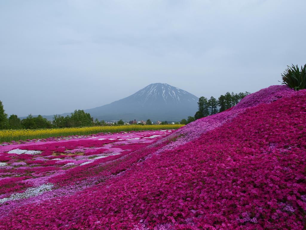 Hostel Niseko Tabi-Tsumugi Backpackers Kutčan Exteriér fotografie